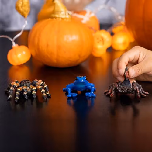 Schleich Wild Life Tarantula Toy Spider Figurine, Multicolour – 3