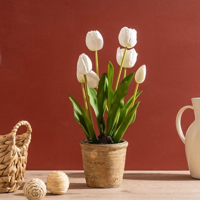 Scottish Everlastings Ltd White and Green Tulip Spray in a Rustic Concrete Pot, Height: 46 cm – 1
