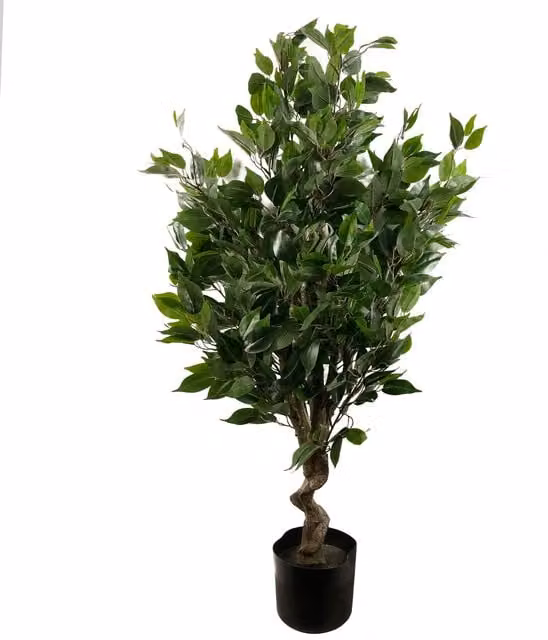 Green Artificial Evergreen Twist Ficus Tabletop Tree, Height: 50 cm