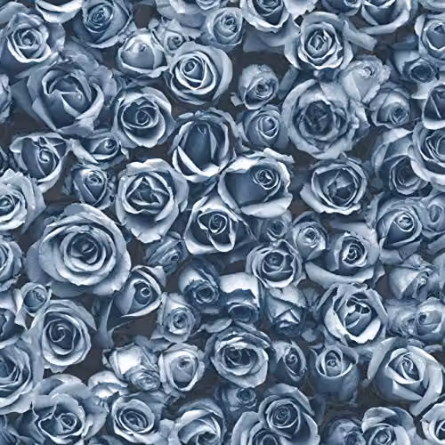 Muriva Rosalee Blue Floral Botanical Wallpaper in Blue and Black