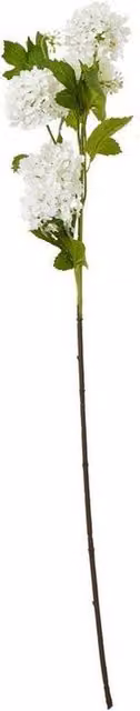 Lemon Pavilion Snowball Viburnum Floral Spray in White, Green and Beige, Height: 77 cm – 1