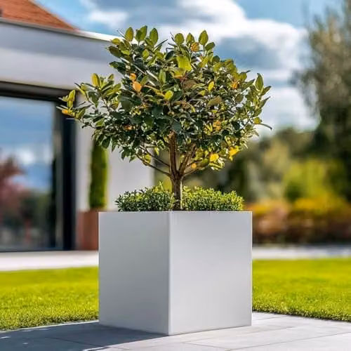Tulipy Galvanised Steel Square Planter Tub, White, W: 40 cm, D: 40 cm, H: 40 cm – 8