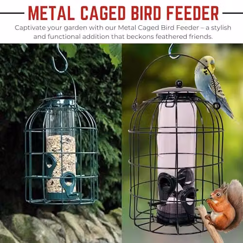 Samuel ALEXANDER Pack of 5 Green Metal Mesh Wild Bird Seed Feeder Cages with Squirrel Guard – 7