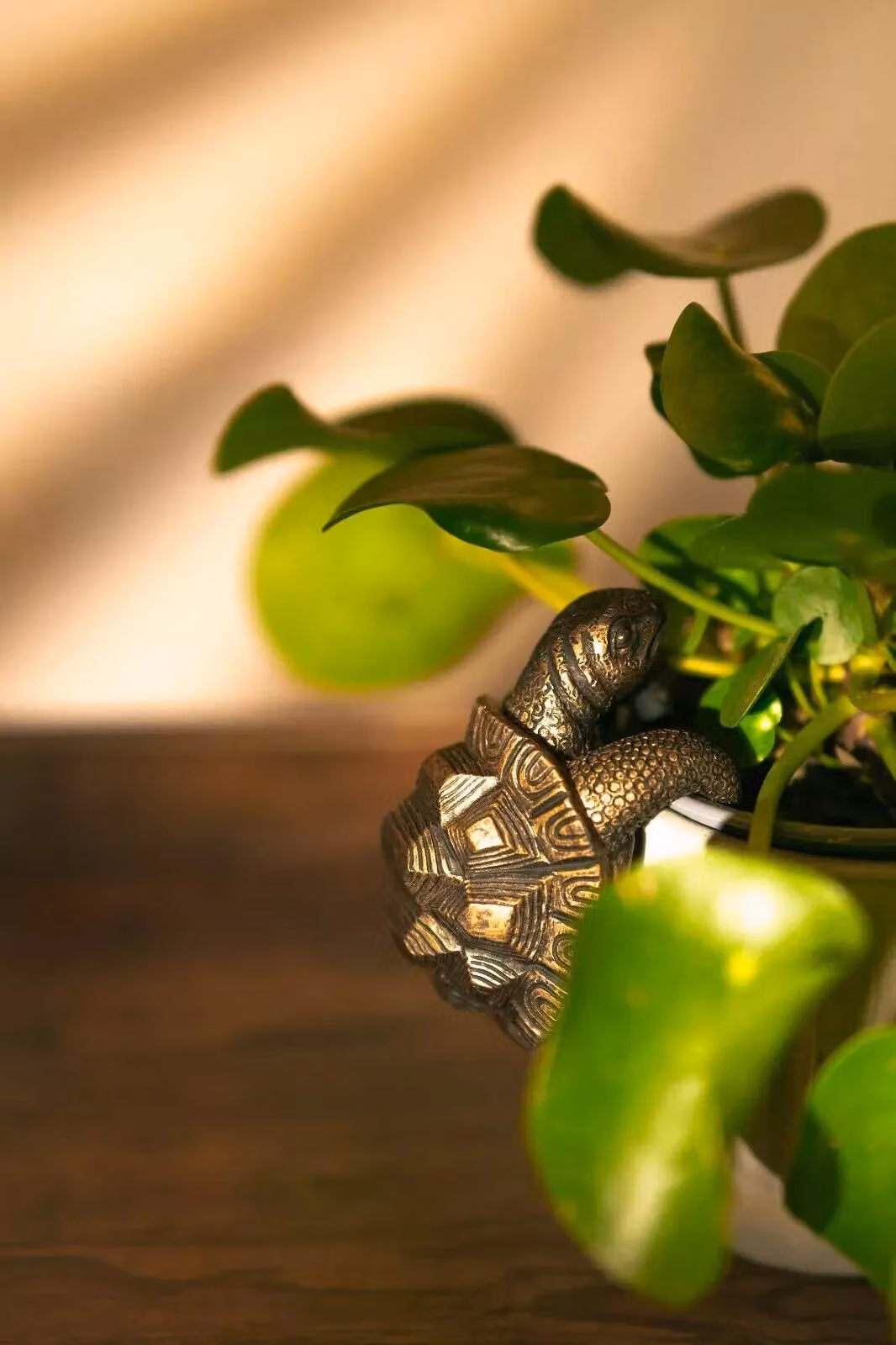 Marco Paul Tortoise Metal Plant Pot Hanger in Bronze – 3