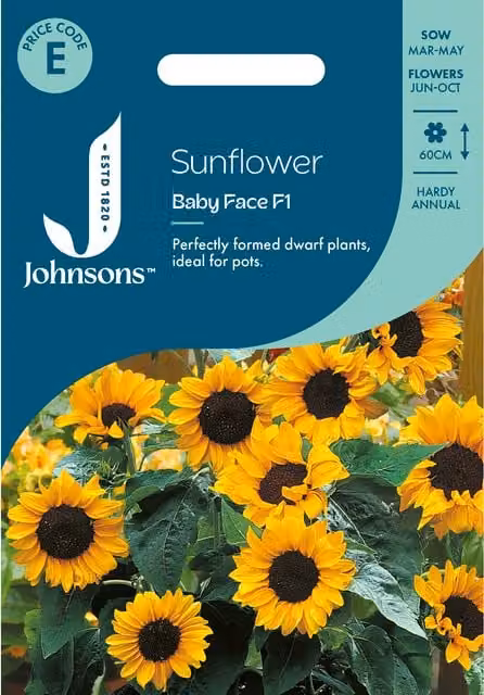 Johnsons Seeds Baby Face Sunflower Seeds, Yellow
