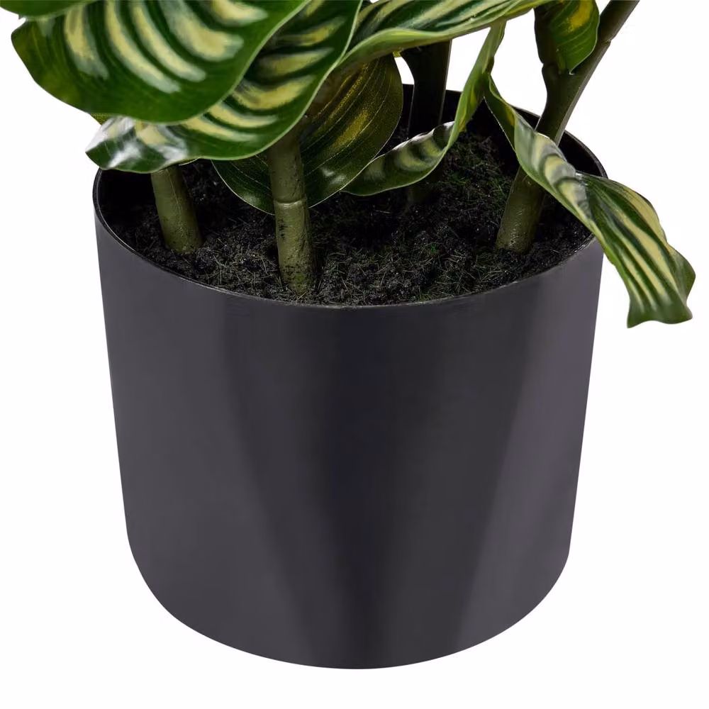 Wyld and Coco Green Realistic Artificial Potted Tabletop Plant, Height: 50 cm – 4