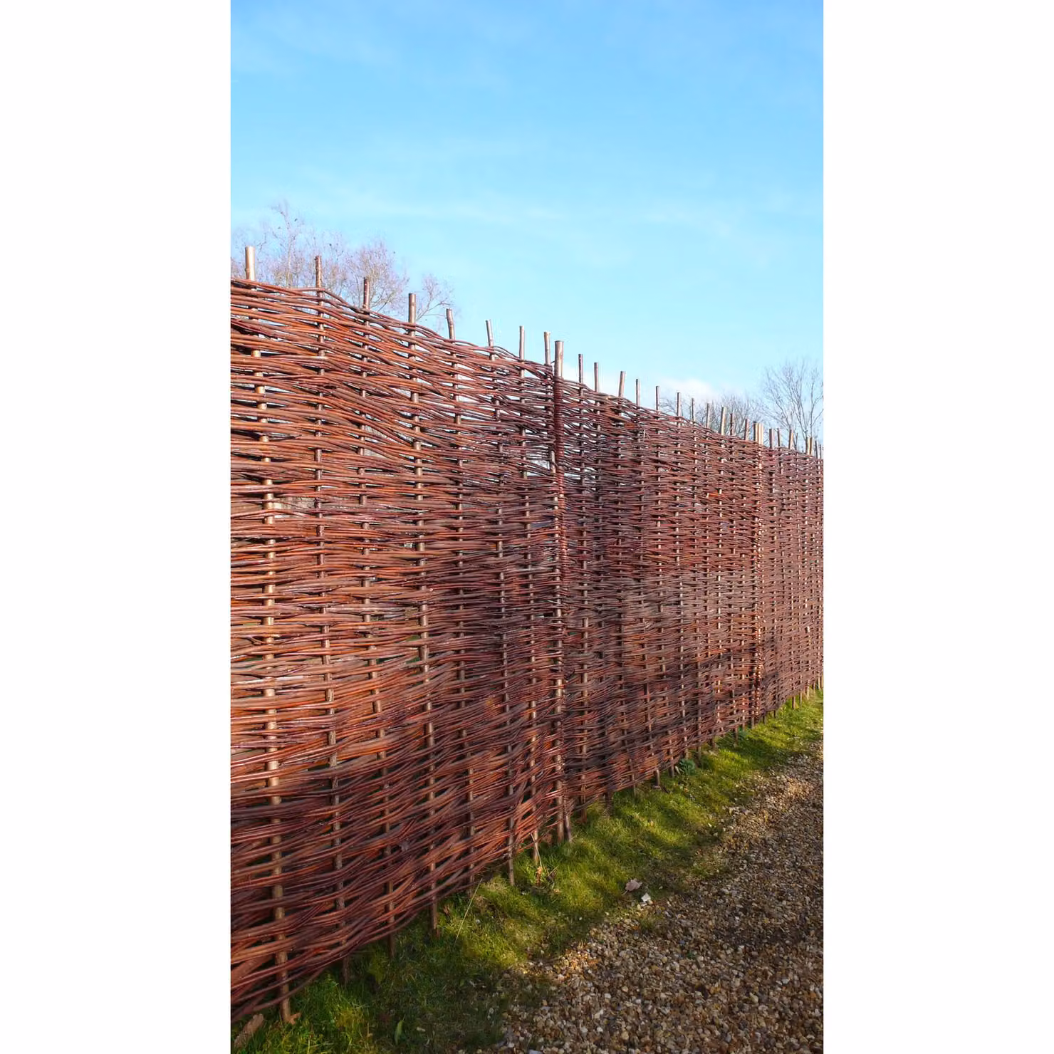 Primrose Premium Woven Willow Hurdle Fence Panel Screening in Brown, H: 182.88 cm, W: 60 cm – 5