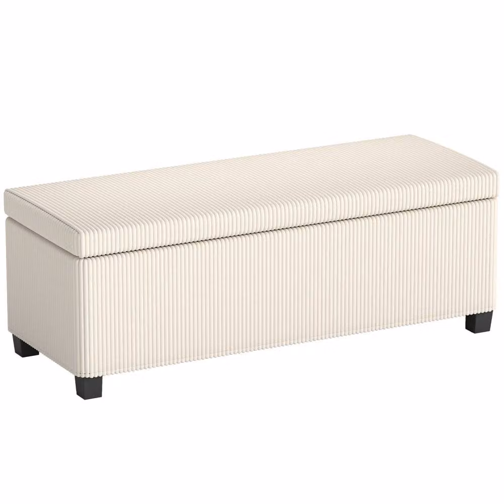 Wyld Haus Toha Beige Corduroy Storage Ottoman Bench with Removable Padded Lid – 2