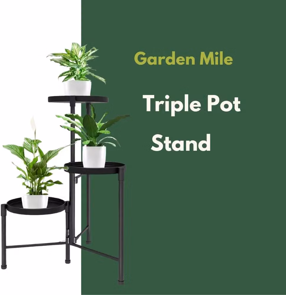 Marco Paul Triple Plant Pot Stand in Black, W/D/H: 60.0 x 38.0 x 3.0 cm – 3