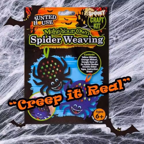 VFM e-Store Halloween Spider Felt Weaving Craft Kit, Multicolour – 6