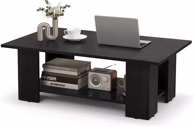 Costway Modern 2-Tier Black Coffee Table