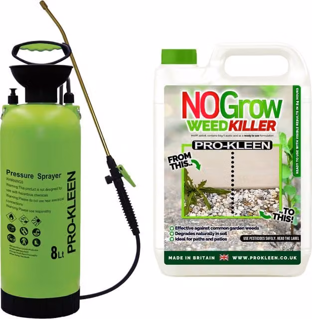 Pro-Kleen Manual Pressure Pump Sprayer in Green, 8 l
