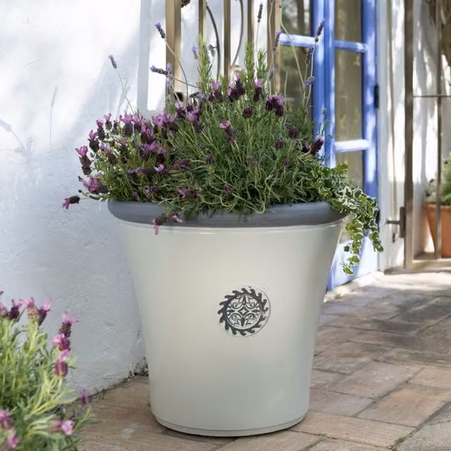 Primrose Tuscan Round Rimmed Planter in White and Grey
