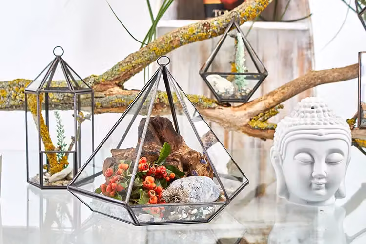 KDMD Geometric Glass and Metal Tabletop Terrarium in Brown – 3