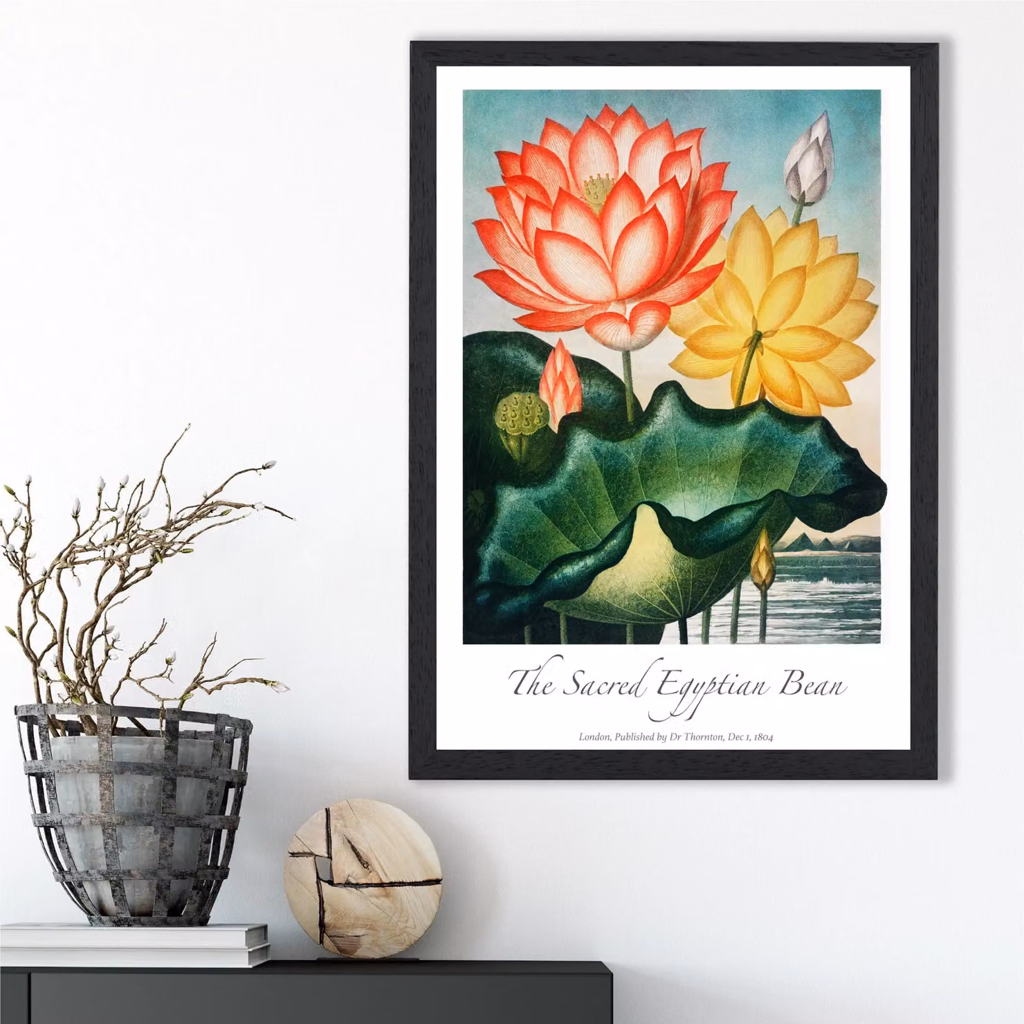 ARTZE Vintage Egyptian Bean Flower Framed Botanical Print, Multicolour, A4 – 2