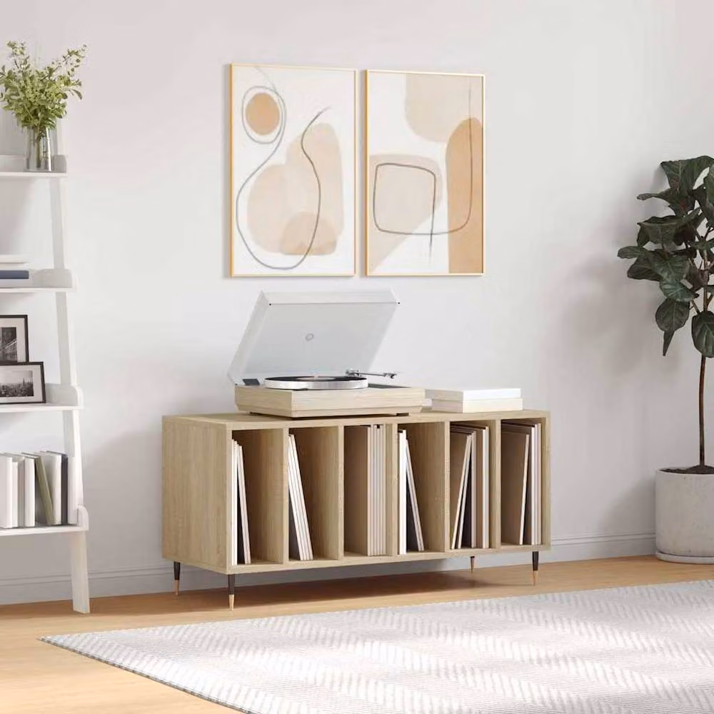 Berkfield Home Record Cabinet in Sonoma Oak, Brown, W/D/H: 100 x 38 x 48 cm – 2