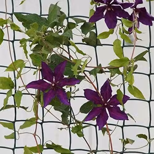 Marco Paul Green Climbing Plant and Fencing Mesh Trellis Support – 1