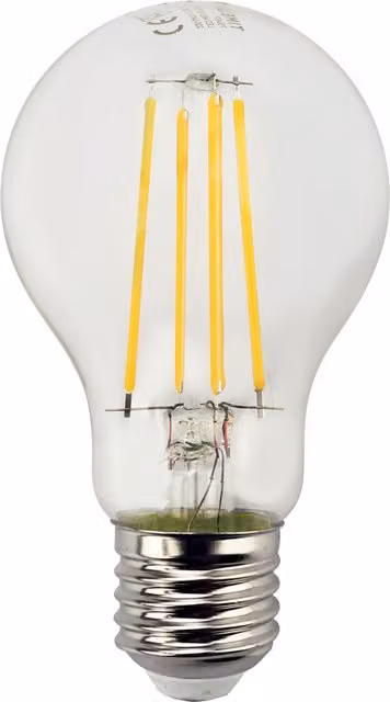 TIMELED 6W Dimmable LED Filament Globe Bulb, Warm White, E27, Transparent Glass