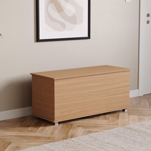 Vida Designs Leon Versatile Storage Ottoman in Brown