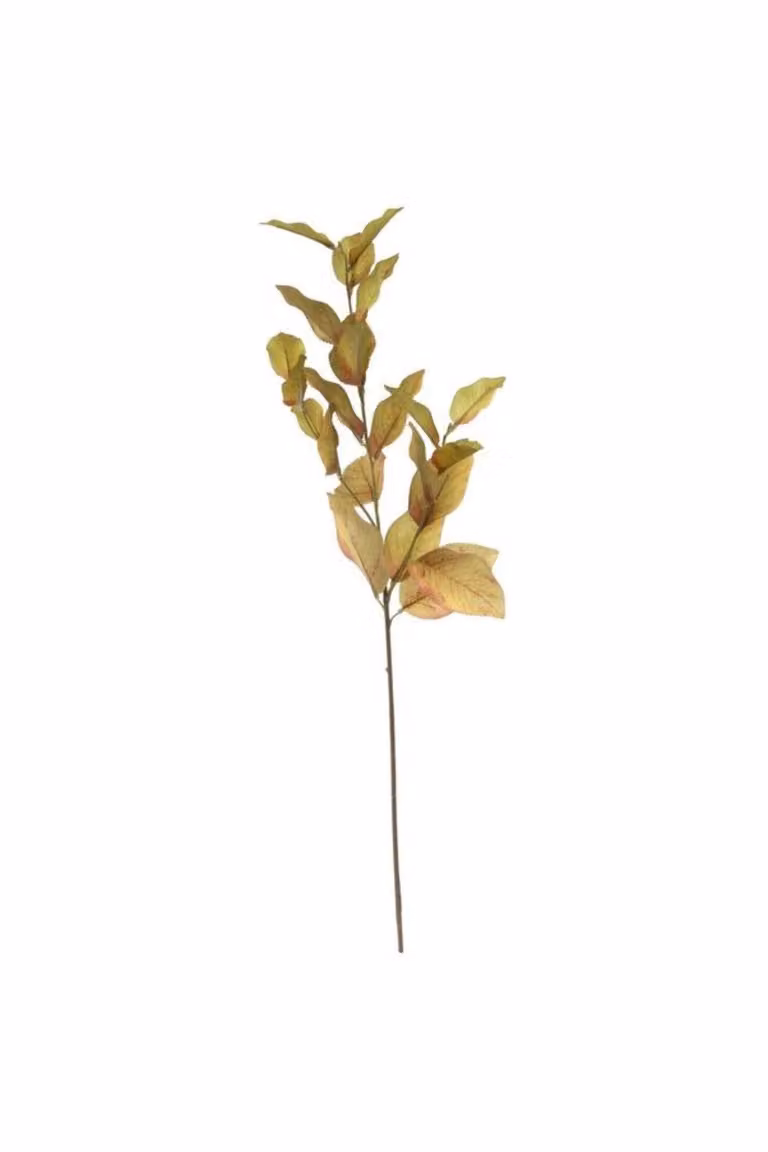 KDMD Glamis Lemon Spray in Green and Brown, Height: 74 cm