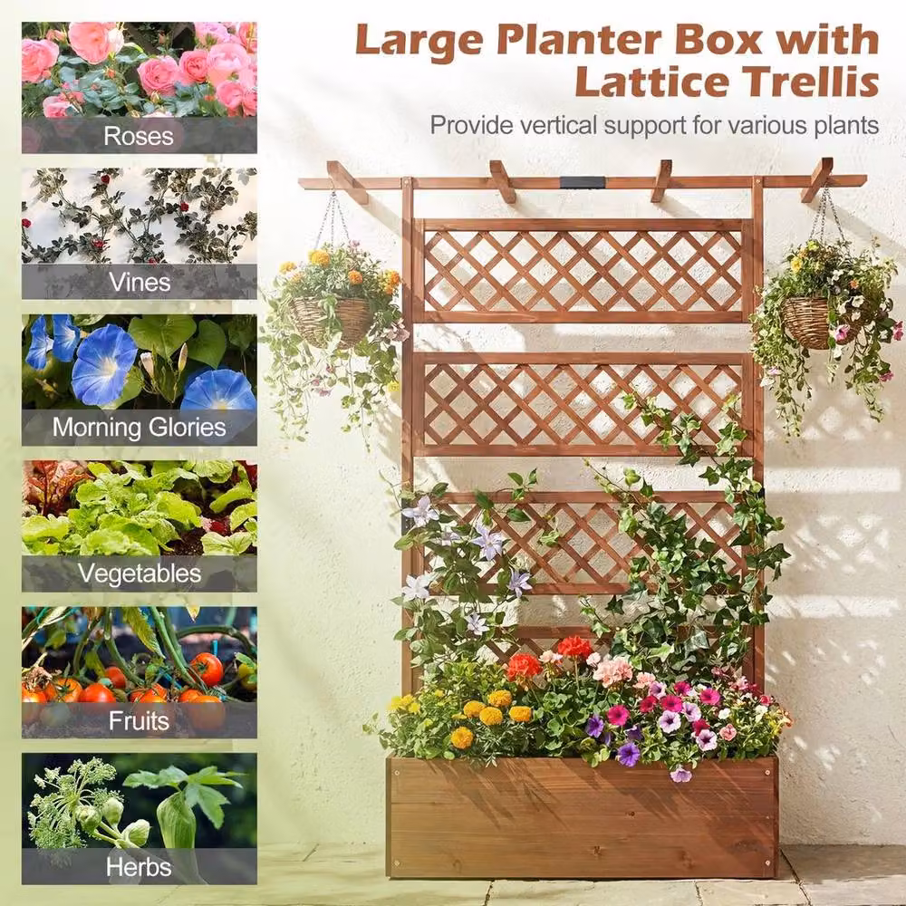 PAWNORA Brown Wooden Raised Bed for Vegetable and Herb Gardens – 6