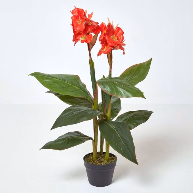 Homescapes Artificial Canna Lily Plant in Green, Red and Black, Height: 90 cm