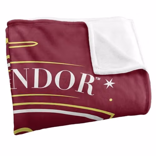 Warner Bros. Harry Potter Gryffindor Shield Super Soft Fleece Throw Blanket, Red and Multicolour, W: 152 cm, D: 127 cm – 2