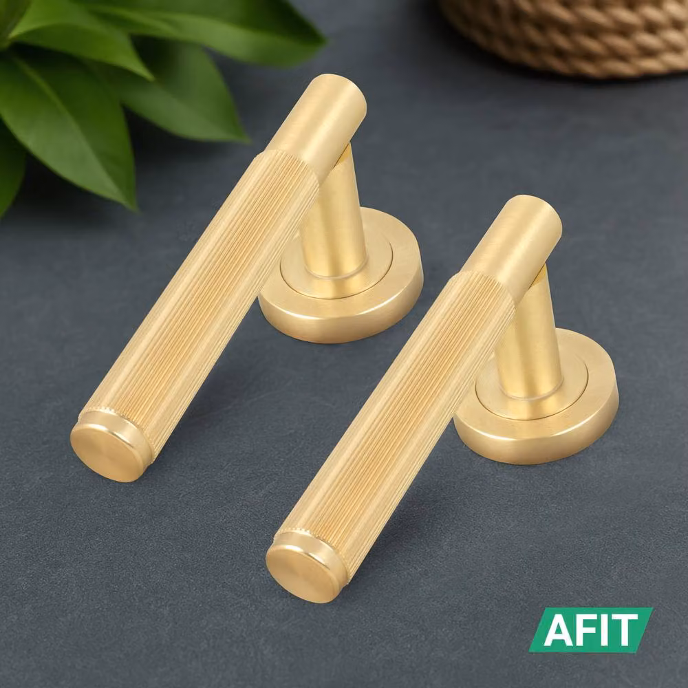 AFIT Brass Fire Door Handle with Euro Lock, Double Cylinder and Hinges, Gold, W/D/H: 15 x 15 x 1.5 cm – 6