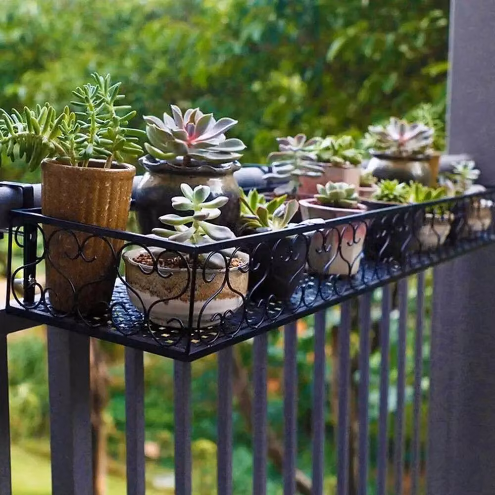 EONLION Black Metal Window Box Planter for Orchids and Ornamental Plants, W: 50 cm, H: 12 cm, D: 20 cm – 4