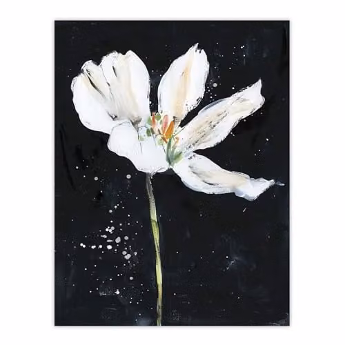 Artery8 Abstract White Lily Flower Black Floral Wall Art Paper Poster Print, W/H: 46 x 61 cm – 1