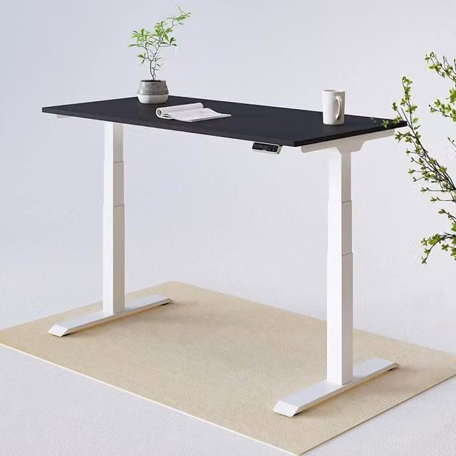 FlexiSpot E7 Electric Height Adjustable Standing Desk with Dual-Motor Lifting System, White Rectangular Desk for Home Office