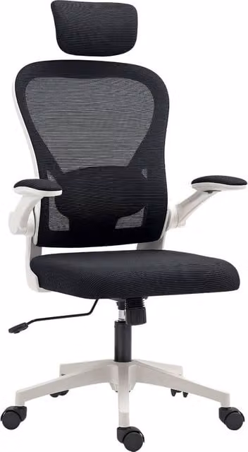 Rolipo Ergonomic Mesh Executive Office Chair with Headrest and Lumbar Support in Black