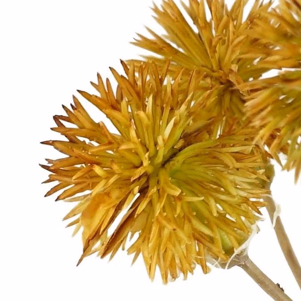 Leaf Premium Yellow Artificial Craspedia Stems, Pack of 6, Height: 85 cm – 2