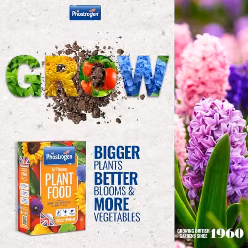 Phostrogen All Purpose Plant Food Granulate, 800g for Indoor and Garden Plants – 2