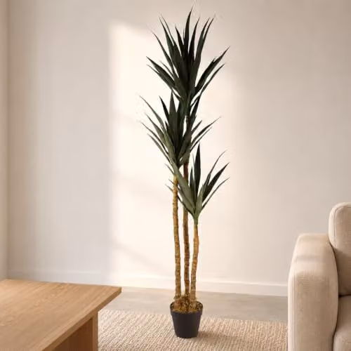 Leaf Design UK Artificial XL Triple Yukka Tropical Tree in Green and Black, Height: 170 cm – 2