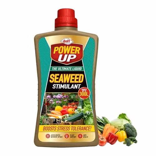 Doff Power Up Liquid Seaweed Plant Stimulant, 1 l – 2