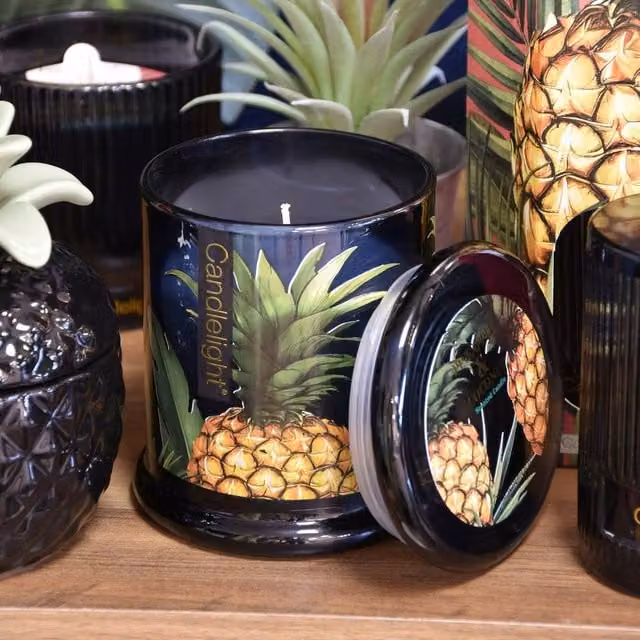 Madison & Mayfair Pineapple & Coconut Large Lidded Jar Candle in Black