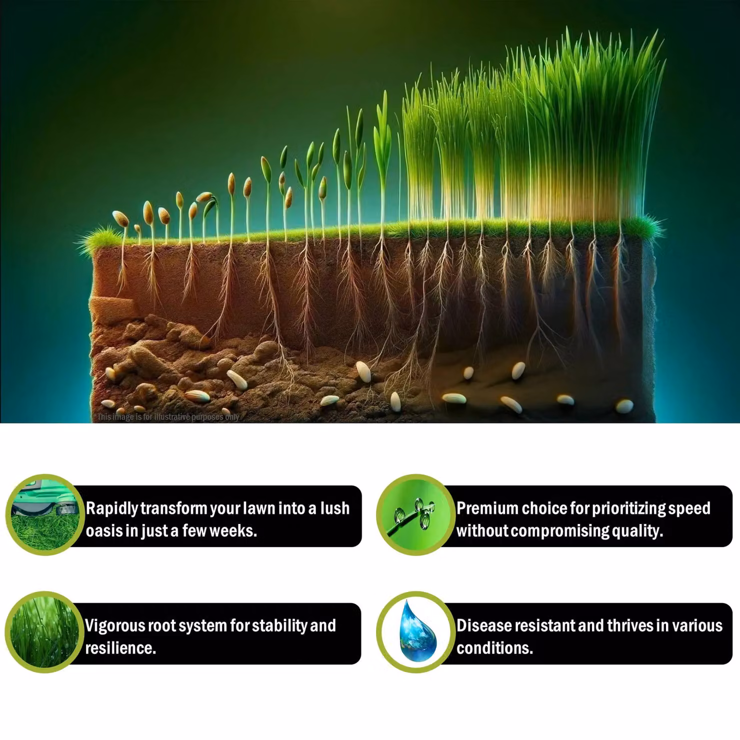 Pegdev PDL Fast Growing Grass Seed, 10kg – 3