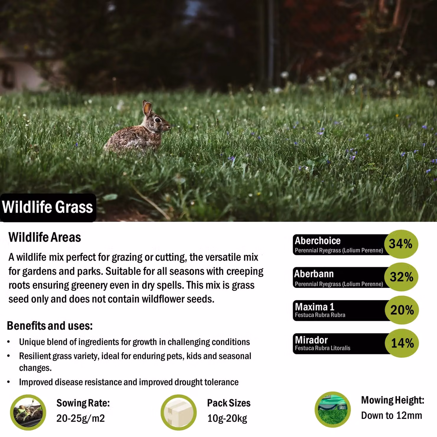 Pegdev Wildlife Grass Seed Versatile Resilient Lawn and Ornamental Garden Blend, 10kg – 2