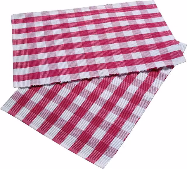 Homescapes Pack of 2 Pink Checked Cotton Rectangular Placemats