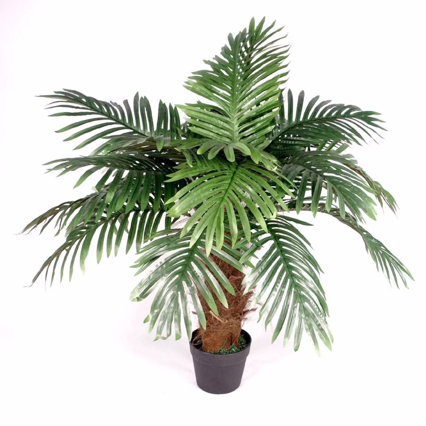 Leaf Design UK Large Realistic Artificial Palm Tree in Green and Brown, Height: 100 cm – 3