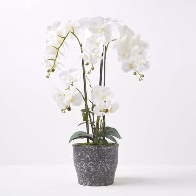 Homescapes Extra Large White Artificial Orchid in a Grey Ceramic Pot, Height: 82 cm – 1