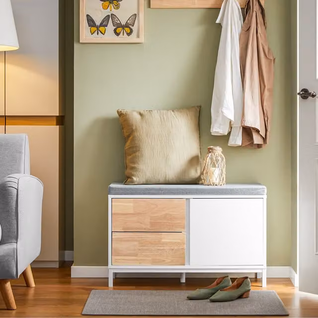 SoBuy Modern Shoe Cabinet with 2 Drawers and 1 Cabinet in White