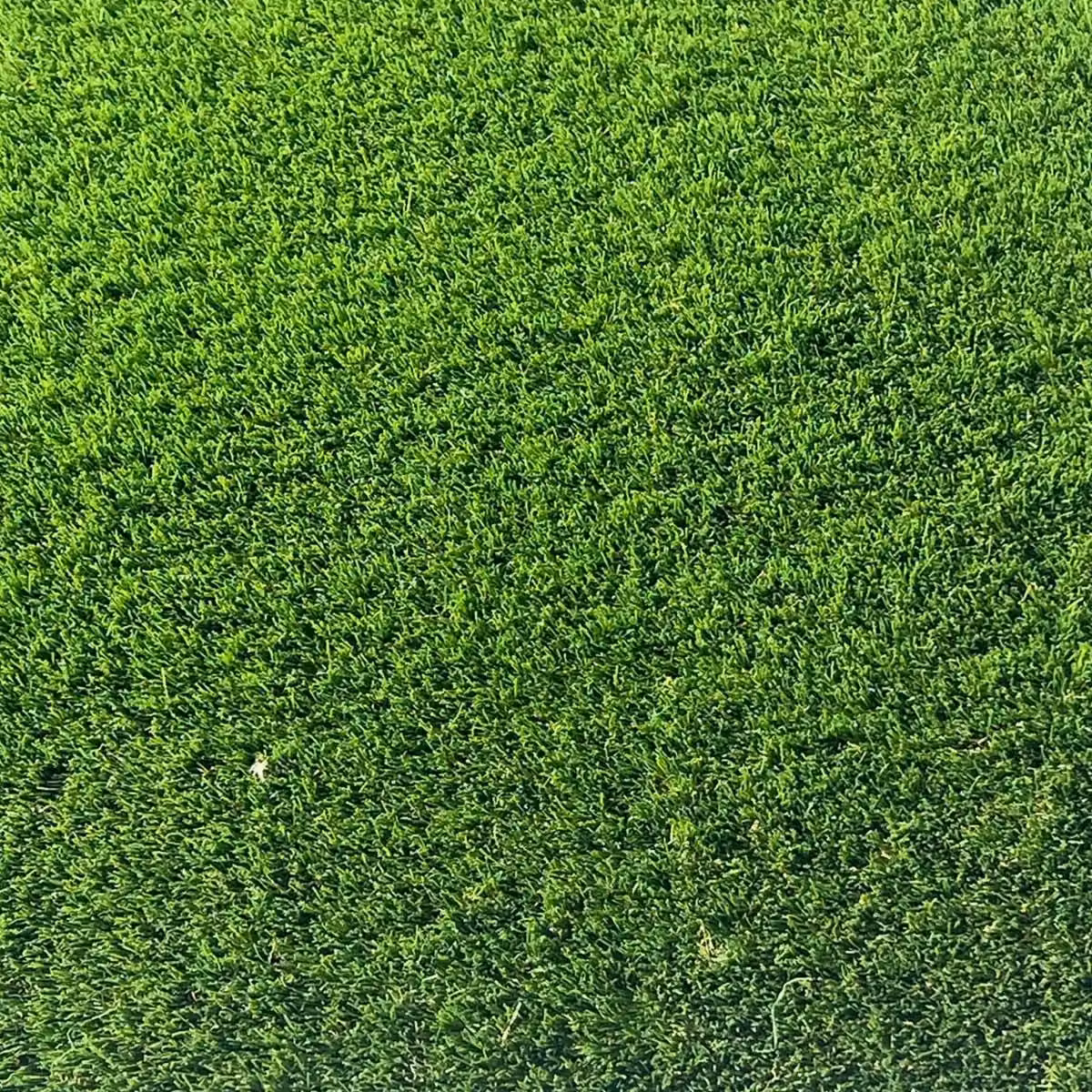 Artificial Grass GB Premiership 40mm Artificial Grass in Green, W: 400 cm, L: 900 cm – 6