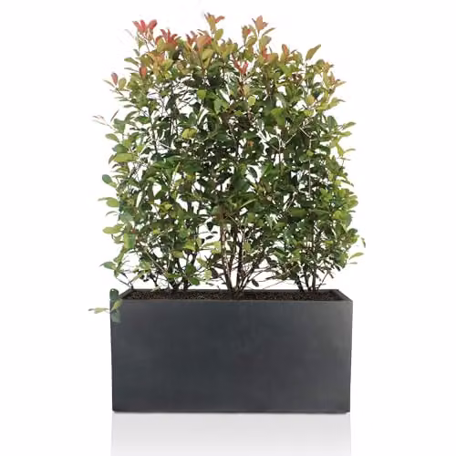 IDEALIST Large Slate Reinforced Stone Trough Planter, Anthracite Grey, 54L – 4