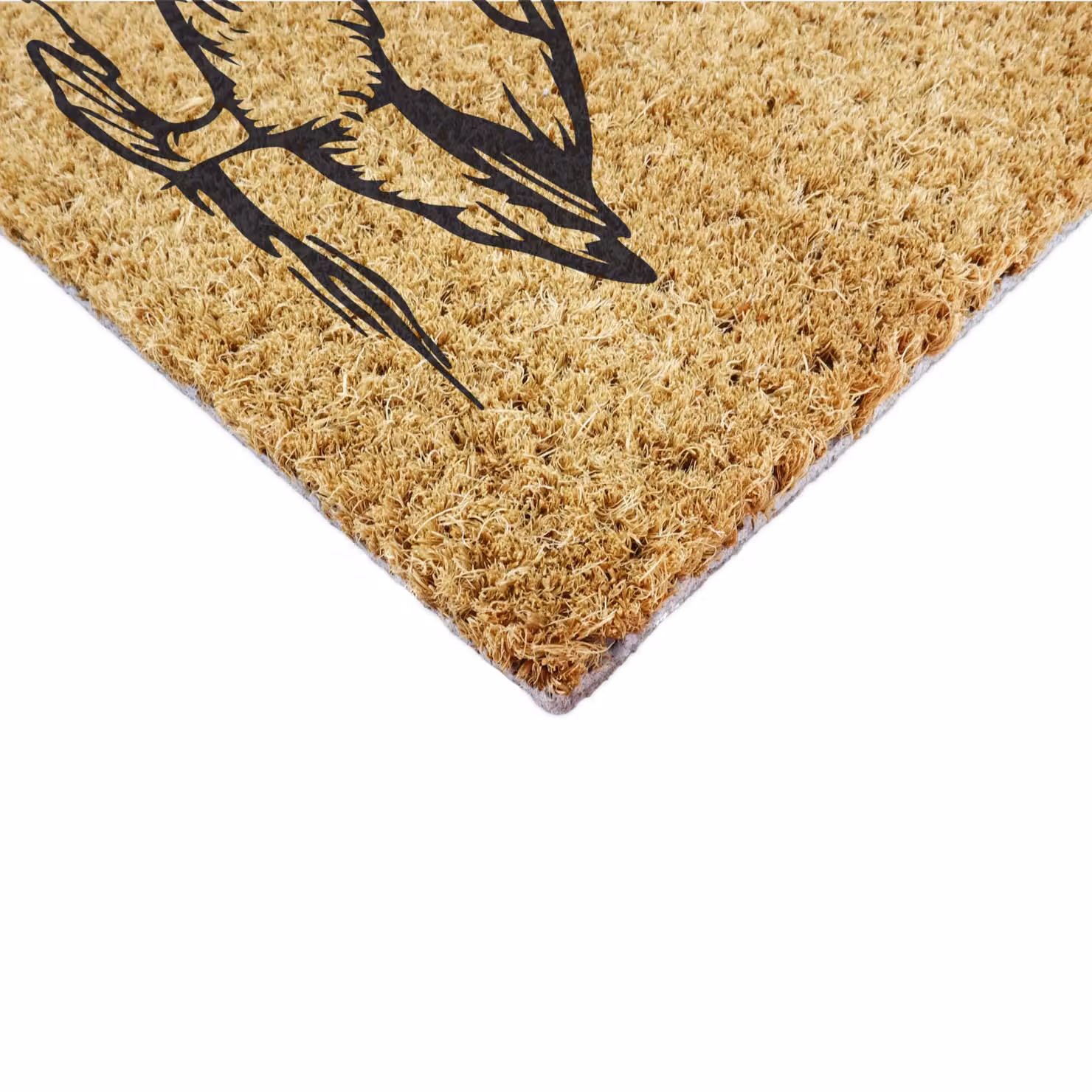 Artsy Mats Ay Up Duck Coir Doormat in Brown, W/D: 90 x 60 cm – 4