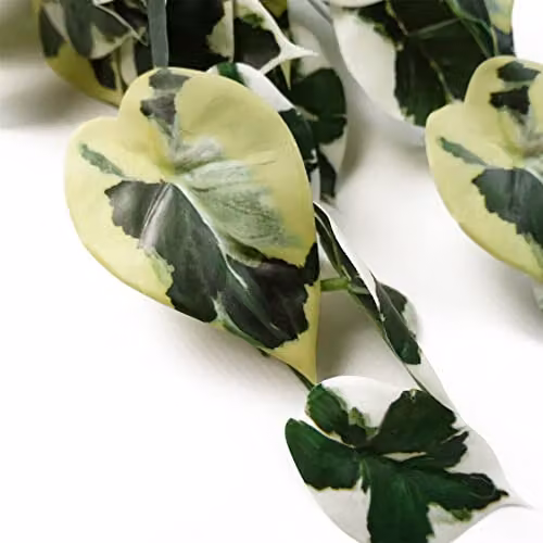 Leaf 40cm Artificial Trailing Variegated Marble Pothos Plant in Green – 4