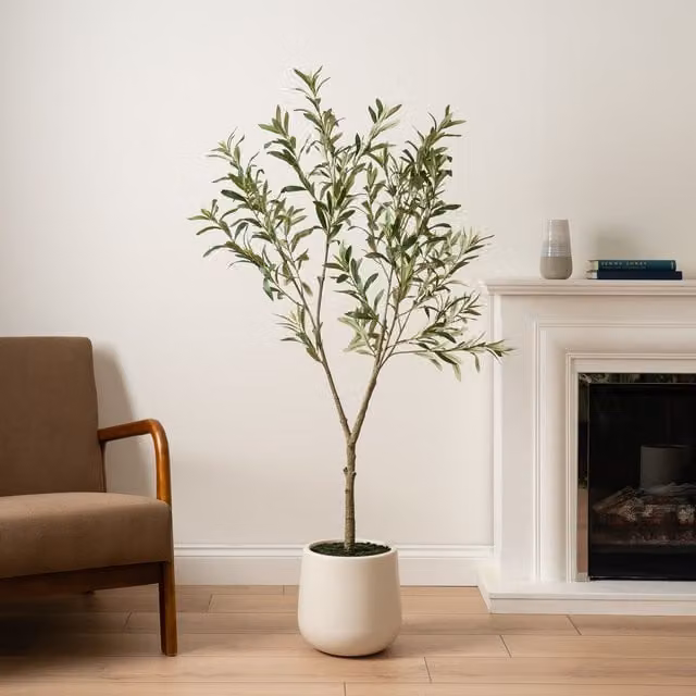 Scottish Everlastings Ltd 150 cm Mediterranean Olive Tree in a Green Cream Pot
