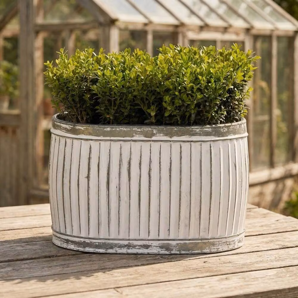 FLAVORA Vintage Ribbed Galvanised Metal Planter Tub in White – 3
