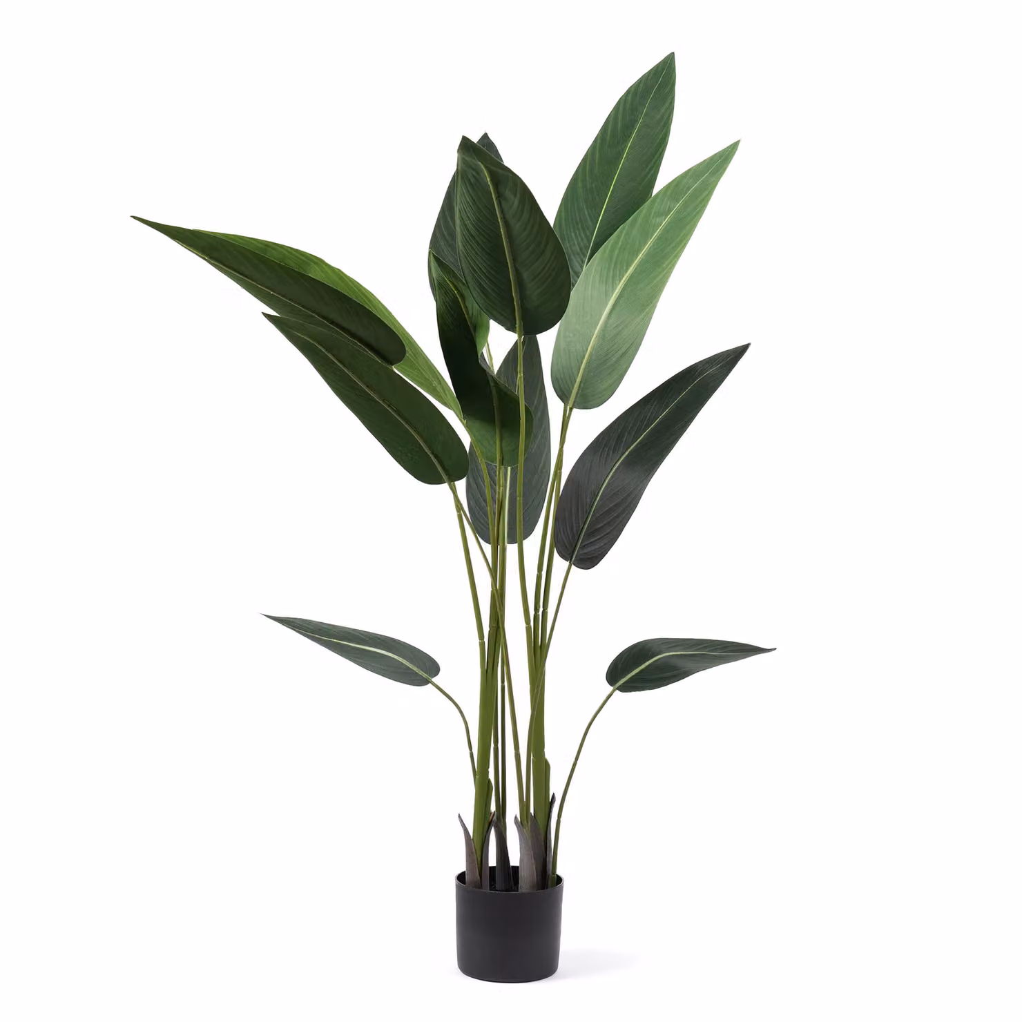 Scottish Everlastings Ltd 130 cm Green Bird of Paradise Tree – 2